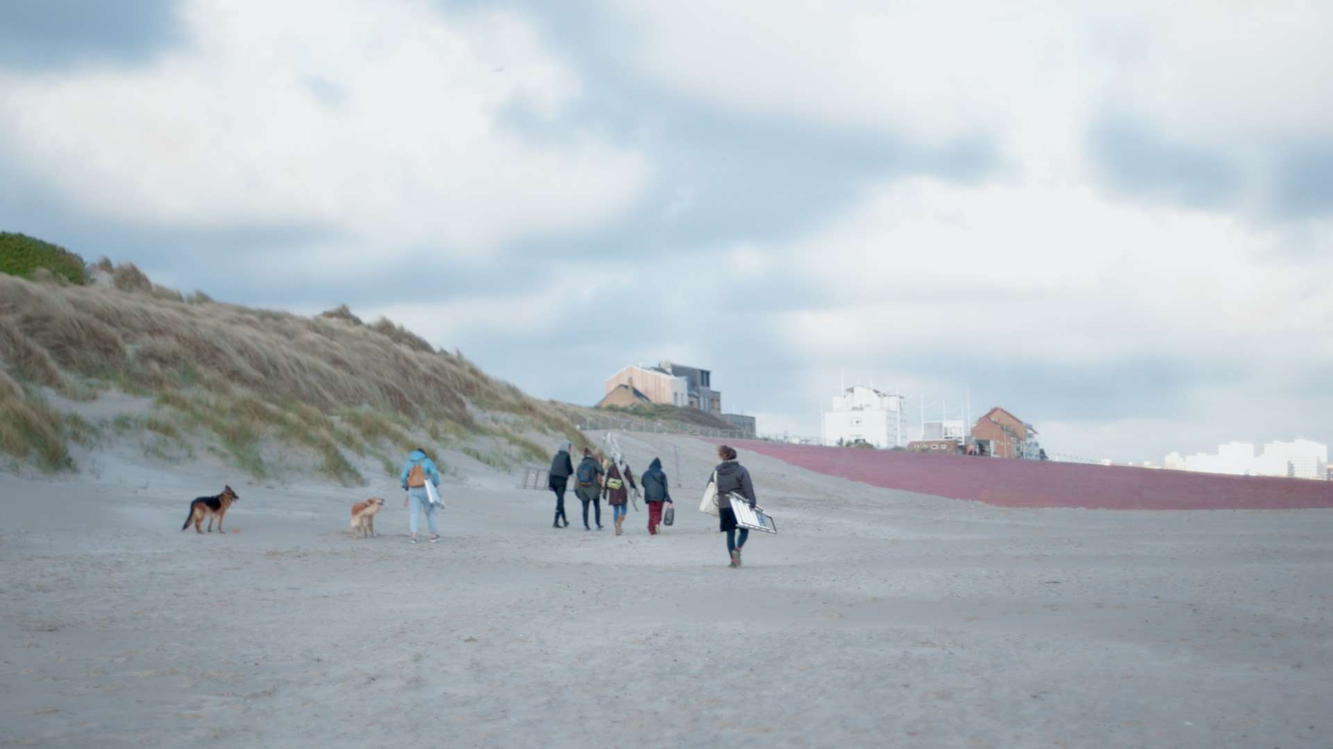 personnes marchant sur une plage 