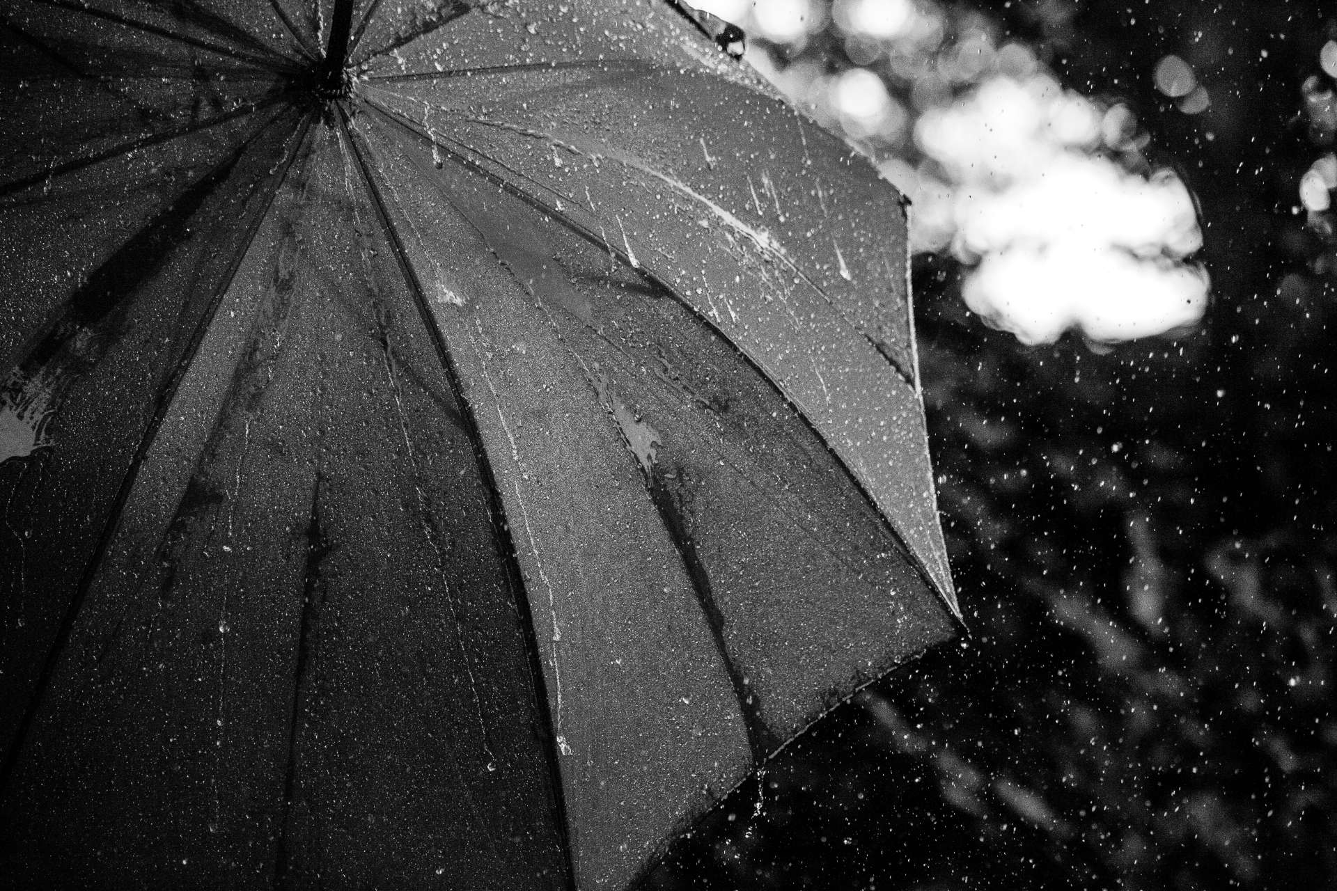 Un parapluie sous la pluie