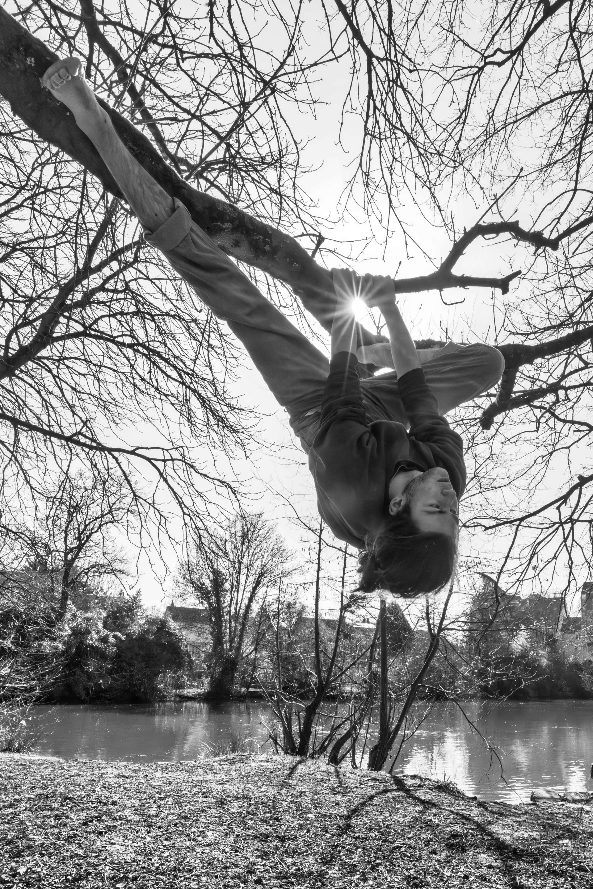 élève sur un arbre
